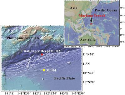 Molecular characteristics of dissolved organic matter in the porewater of "Challenger" Deep sediments, Mariana Trench